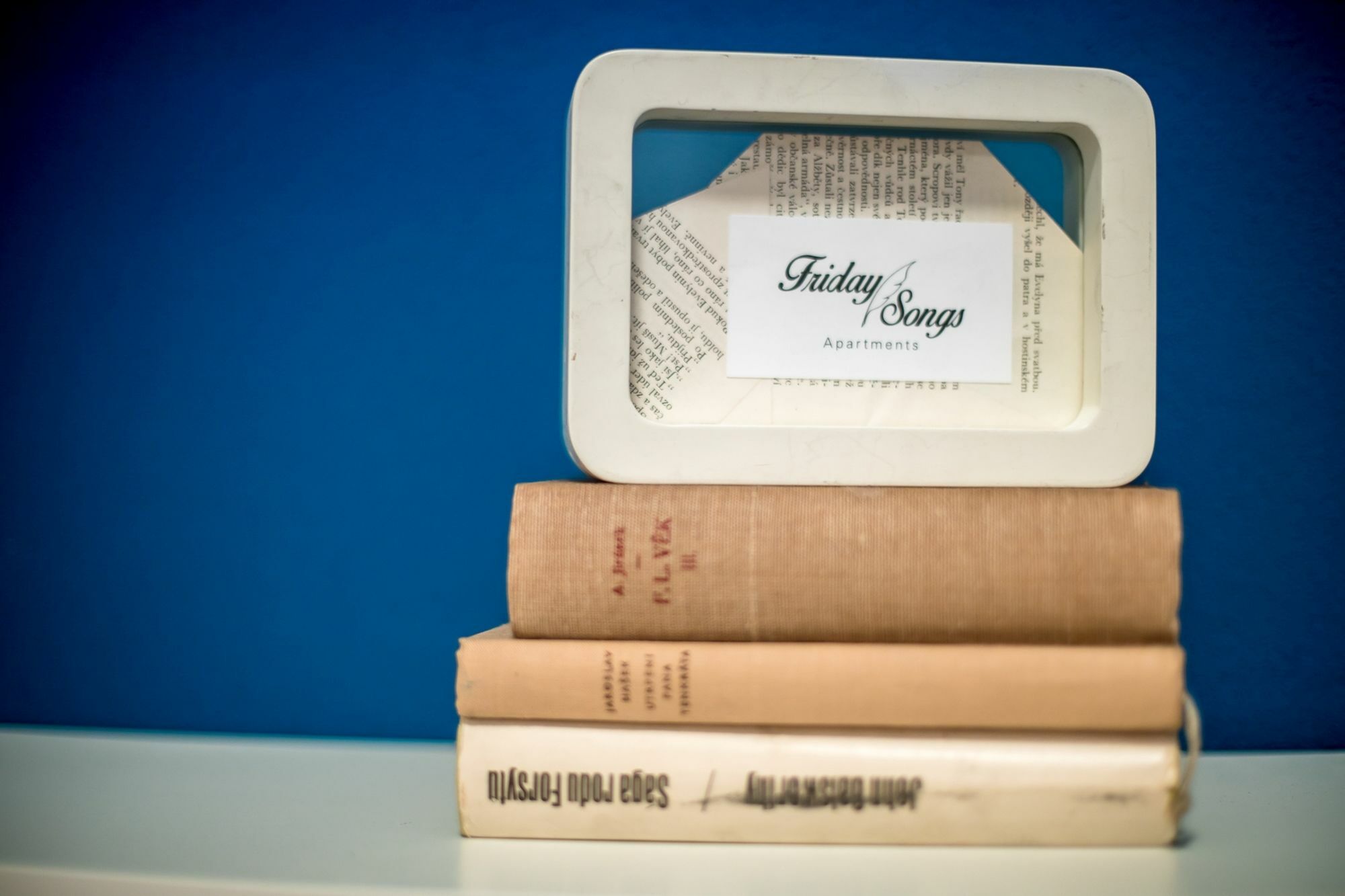 Friday Songs Apartment Prague Luaran gambar